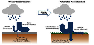 Der urbane Wasserhaushalt zeichnet sich vor allem durch einen verhältnismäßig hohen Oberflächenabfluss aus. Durch RISA-Maßnahmen soll dieser zu Gunsten von Versickerung und Verdunstung gemindert werden. © BUKEA